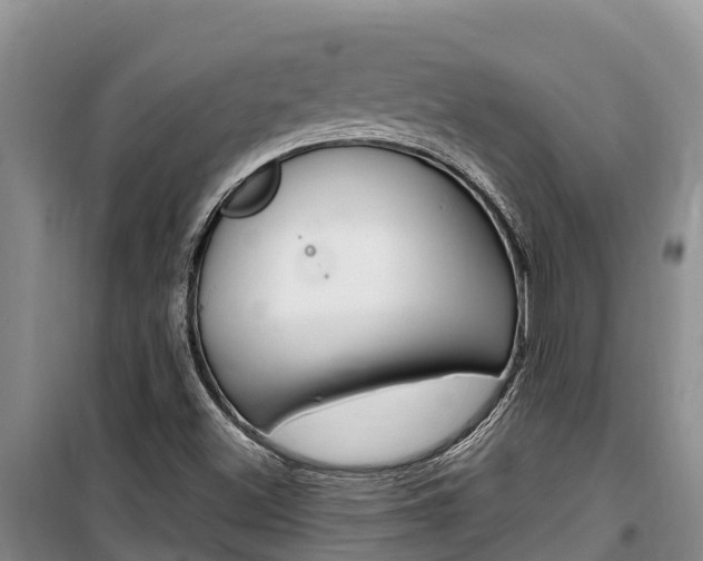 X0000100361500200806060811