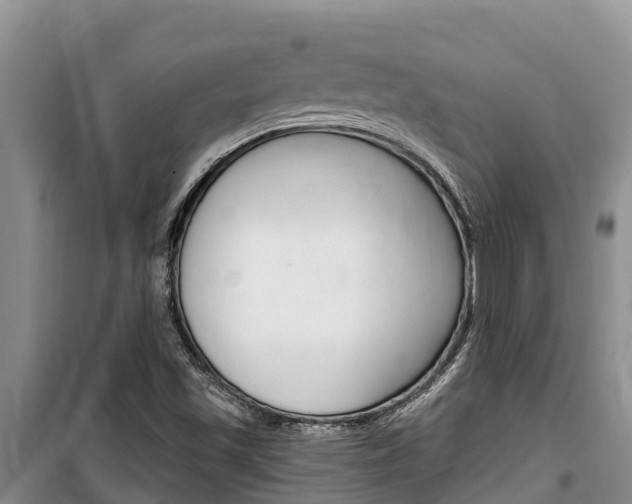 X0000100361501200806060811