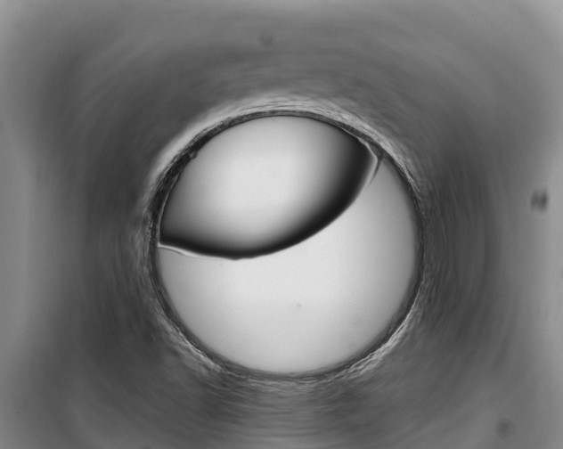 X0000100361502200806060811