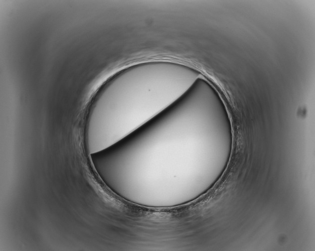 X0000100361503200806060811