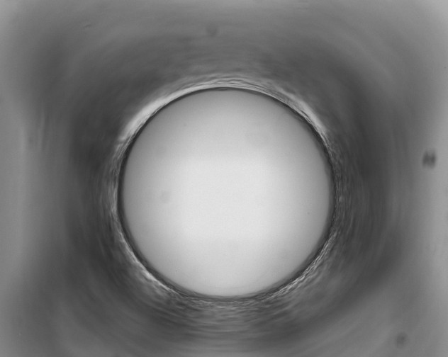 X0000100361504200806060811