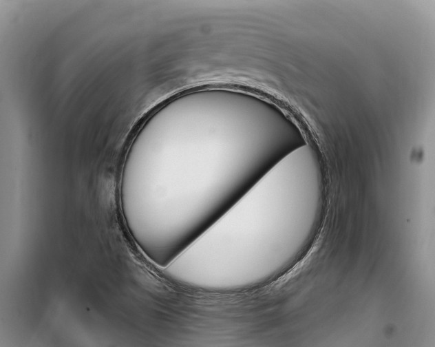 X0000100361505200806060811