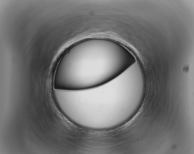 X0000100361506200806060811