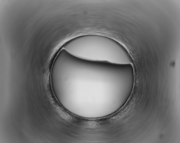 X0000100361507200806060811