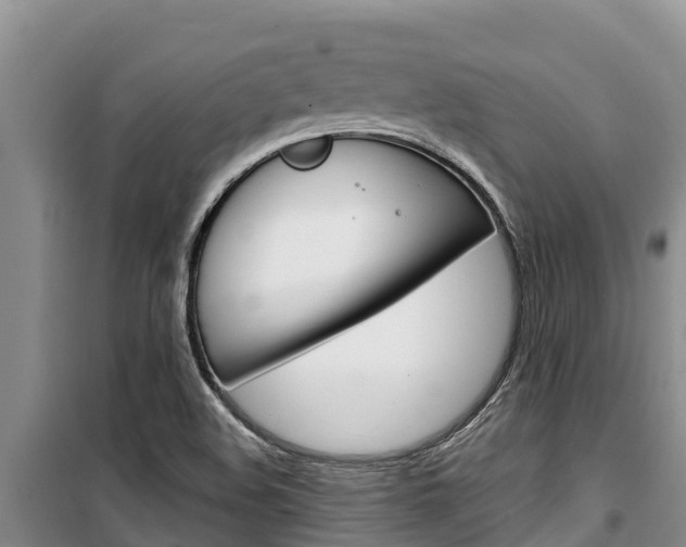 X0000100361508200806060811