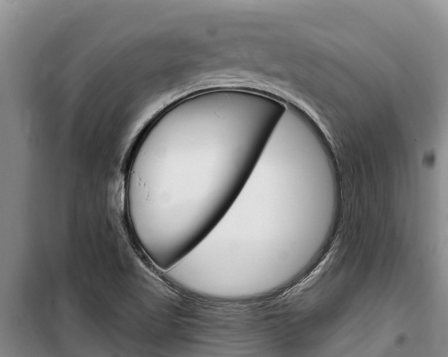 X0000100361509200806060811