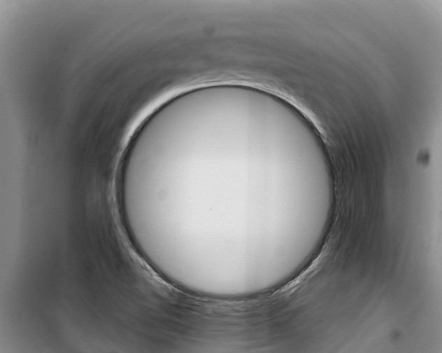 X0000100361510200806060811
