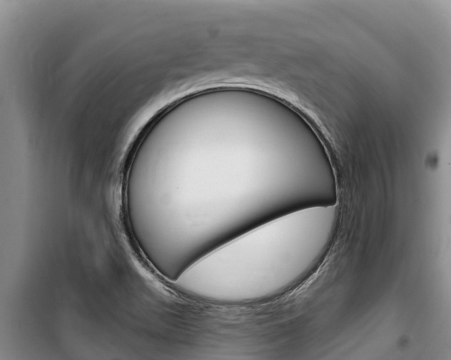 X0000100361511200806060811