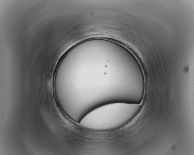 X0000100361513200806060811