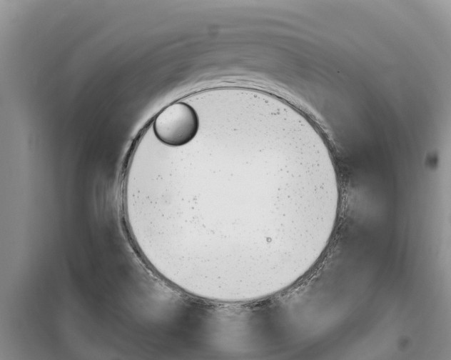 X0000100361514200806060811