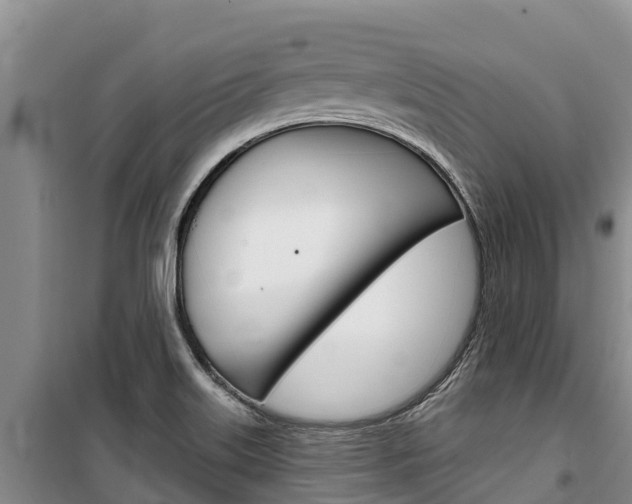 X0000100361515200806060811