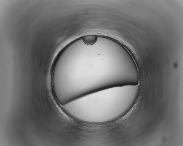 X0000100361517200806060811