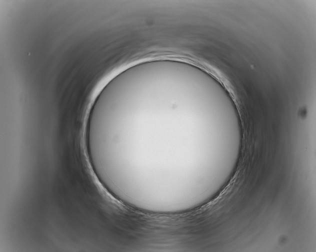 X0000100361520200806060811