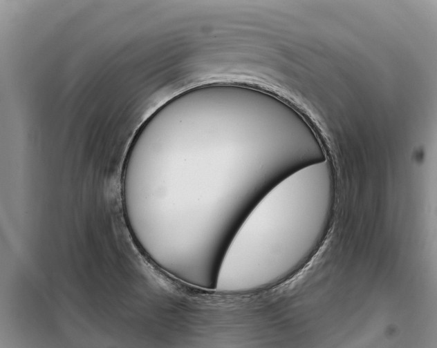 X0000100361521200806060811