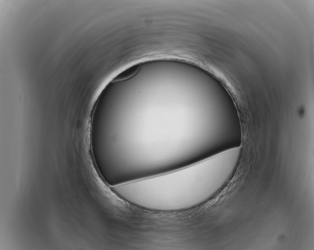 X0000100361524200806060811