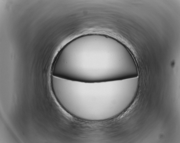 X0000100361525200806060811