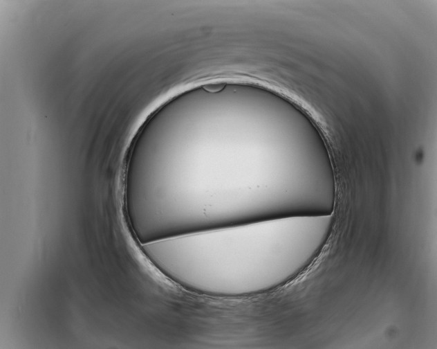 X0000100361526200806060811