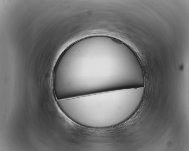 X0000100361527200806060811