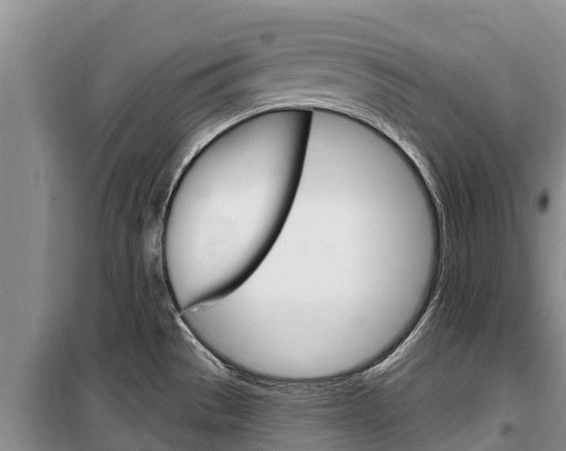 X0000100361529200806060811