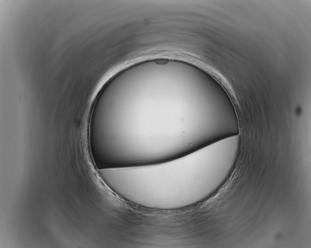 X0000100361530200806060811