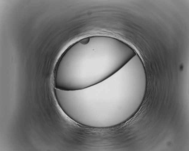 X0000100361531200806060811