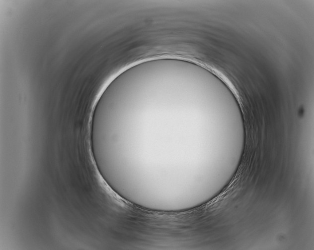 X0000100361532200806060811