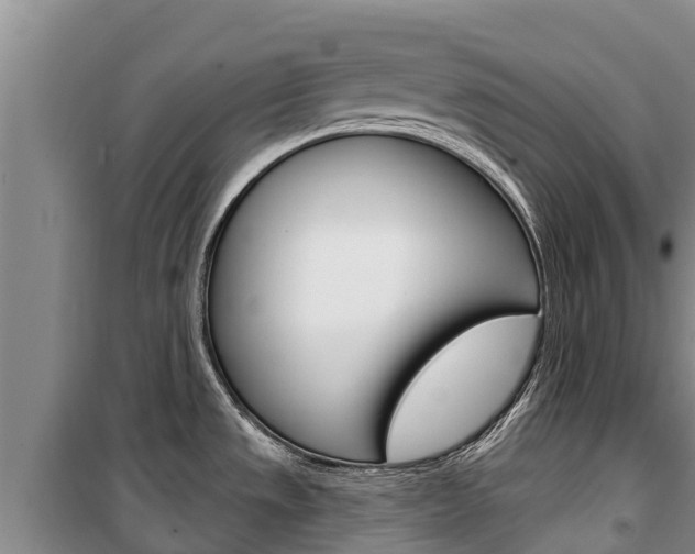 X0000100361533200806060811