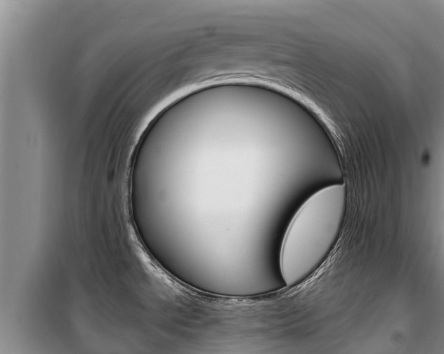 X0000100361534200806060811