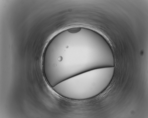 X0000100361535200806060811