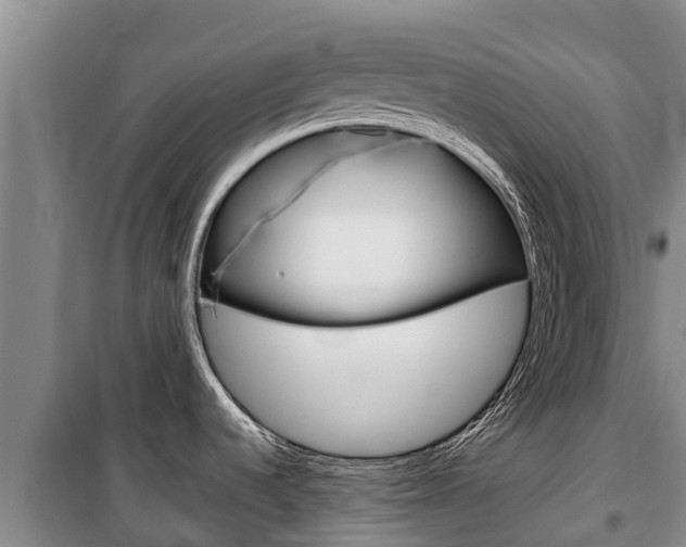X0000100361536200806060811