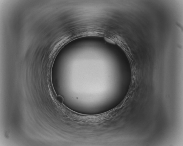 X0000100360001200806061150