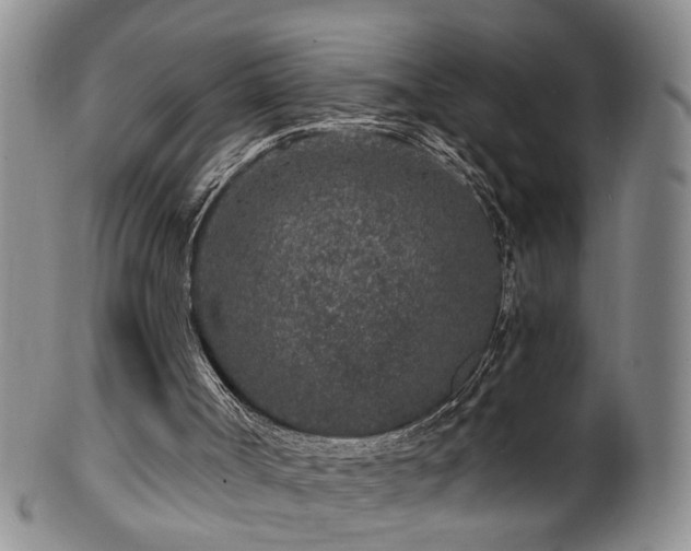 X0000100360002200806061150