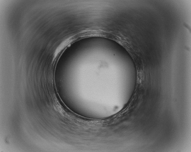 X0000100360004200806061150