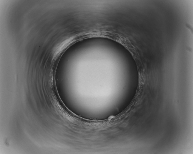 X0000100360005200806061150