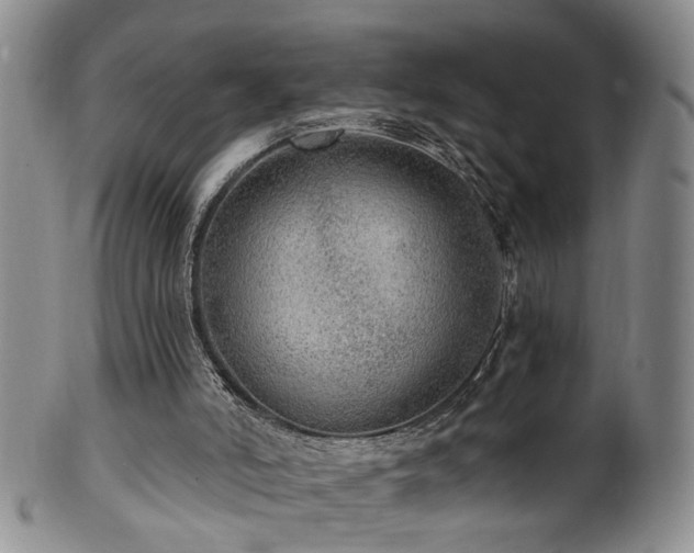 X0000100360006200806061150