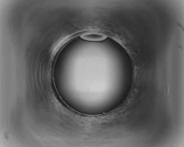 X0000100360007200806061150