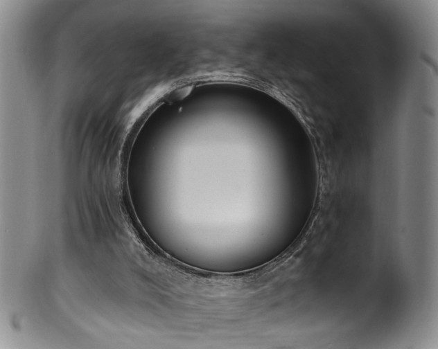 X0000100360008200806061149