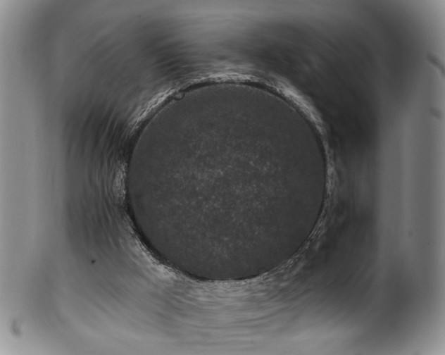 X0000100360009200806061149