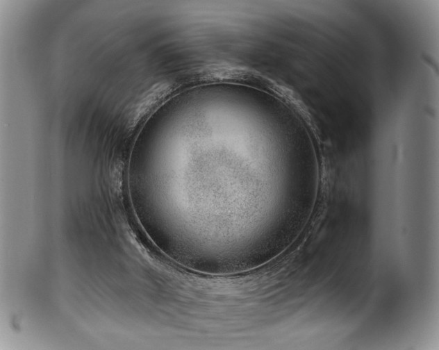 X0000100360010200806061149