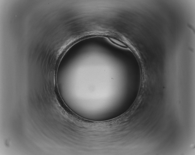 X0000100360011200806061149