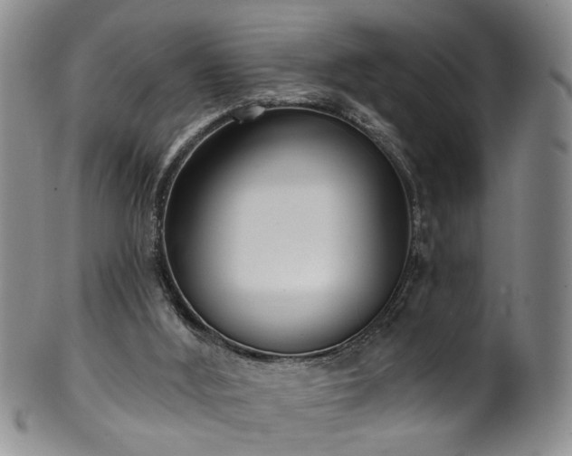 X0000100360012200806061149