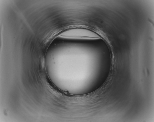 X0000100360013200806061149