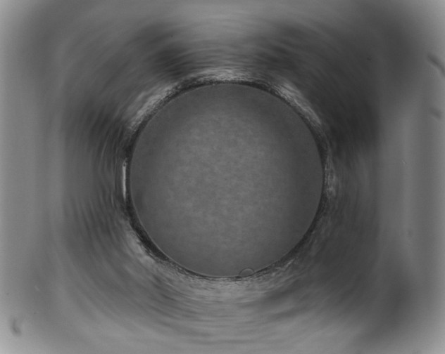 X0000100360014200806061149