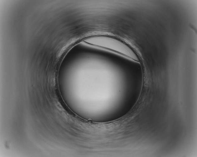 X0000100360015200806061149