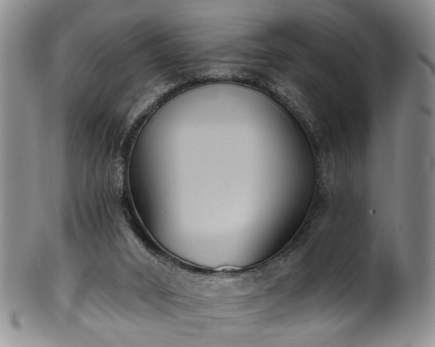 X0000100360016200806061149