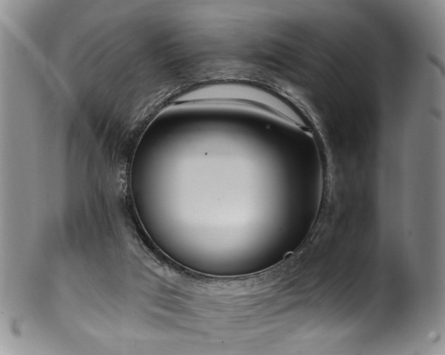 X0000100360017200806061149