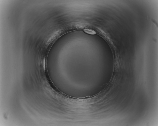 X0000100360019200806061149