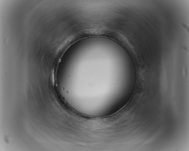 X0000100360020200806061149