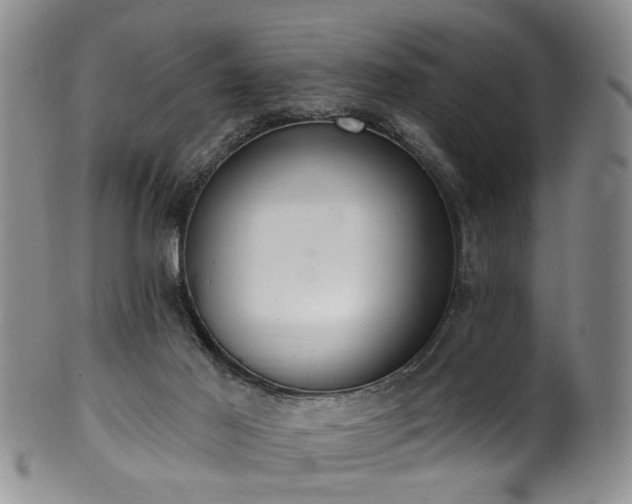 X0000100360021200806061149