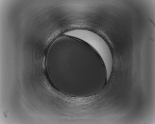 X0000100360023200806061149